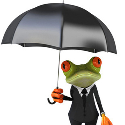 mascota contrate seguros