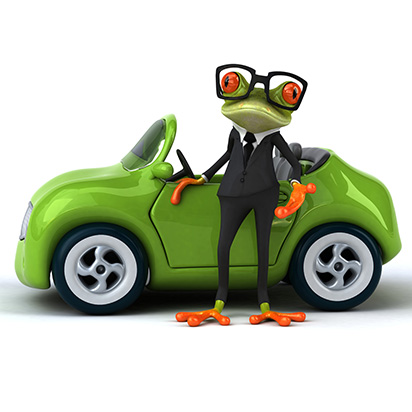 mascota contrate seguros